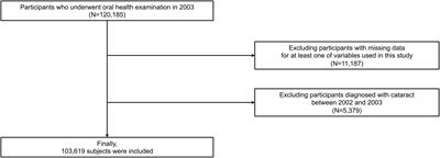 Better <mark class="highlighted">oral hygiene</mark> is associated with a reduced risk of cataract: A nationwide cohort study